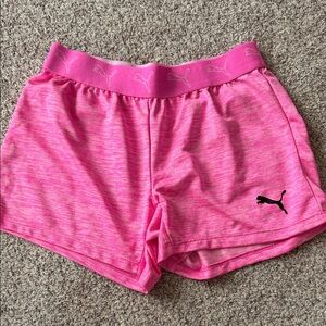 Puma Fuchsia Training Shorts